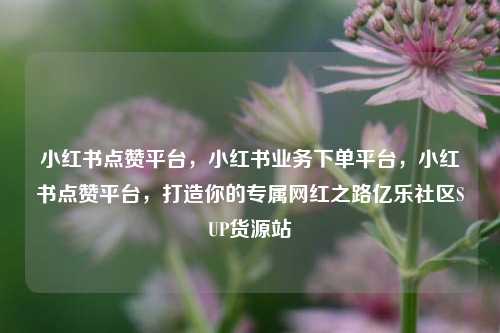 小红书点赞平台	，小红书业务下单平台，小红书点赞平台，打造你的专属网红之路亿乐社区SUP货源站  第1张