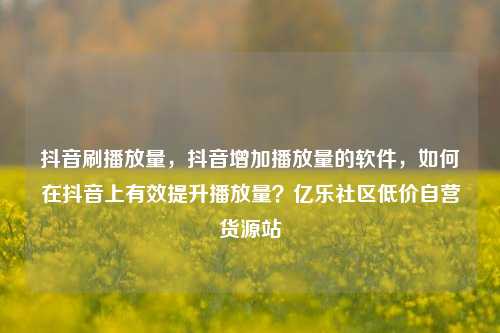 抖音刷播放量，抖音增加播放量的软件，如何在抖音上有效提升播放量？亿乐社区低价自营货源站  第1张