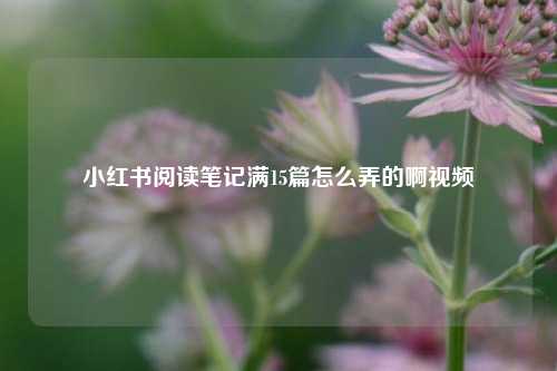 小红书阅读笔记满15篇怎么弄的啊视频  第1张