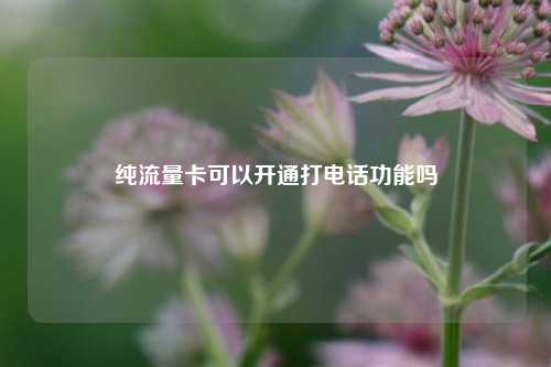 纯流量卡可以开通打电话功能吗  第1张