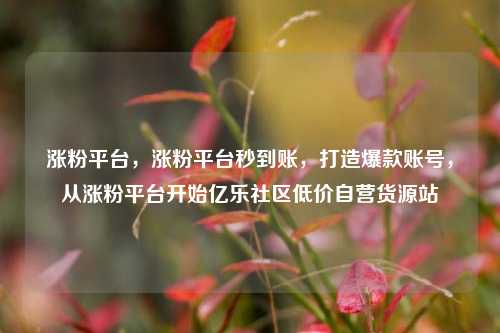涨粉平台	，涨粉平台秒到账，打造爆款账号，从涨粉平台开始亿乐社区低价自营货源站  第1张