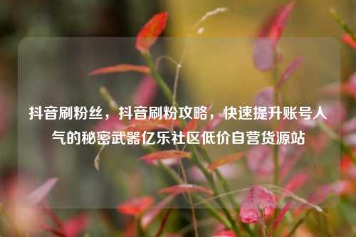 抖音刷粉丝	，抖音刷粉攻略，快速提升账号人气的秘密武器亿乐社区低价自营货源站  第1张