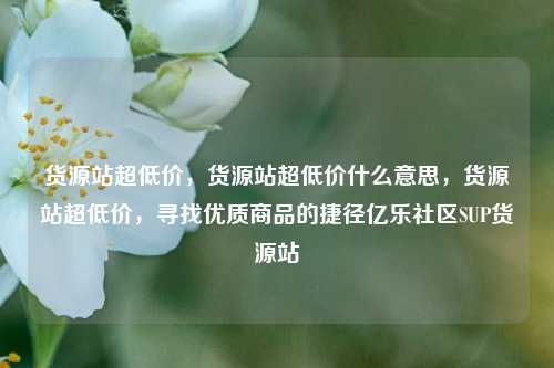 货源站超低价，货源站超低价什么意思	，货源站超低价，寻找优质商品的捷径亿乐社区SUP货源站  第1张