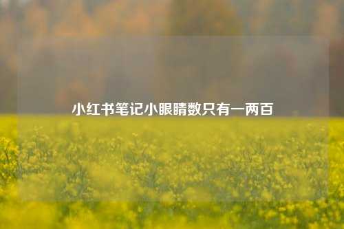 小红书笔记小眼睛数只有一两百  第1张