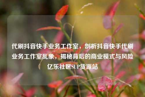 代刷抖音快手业务工作室，剖析抖音快手代刷业务工作室乱象	，揭秘背后的商业模式与风险亿乐社区SUP货源站  第1张