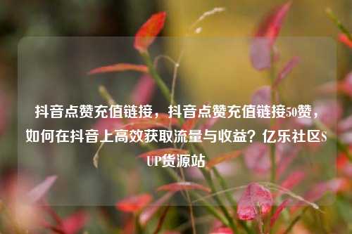 抖音点赞充值链接	，抖音点赞充值链接50赞，如何在抖音上高效获取流量与收益？亿乐社区SUP货源站  第1张