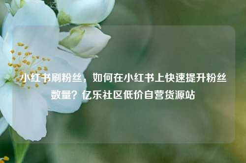 小红书刷粉丝，如何在小红书上快速提升粉丝数量？亿乐社区低价自营货源站  第1张
