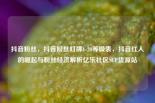 抖音粉丝，抖音粉丝灯牌1-20等级表，抖音红人的崛起与粉丝经济解析亿乐社区SUP货源站  第1张