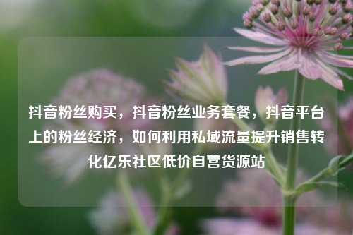 抖音粉丝购买，抖音粉丝业务套餐	，抖音平台上的粉丝经济，如何利用私域流量提升销售转化亿乐社区低价自营货源站  第1张