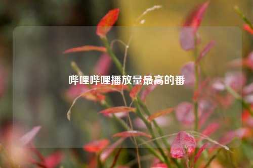 哔哩哔哩播放量最高的番  第1张