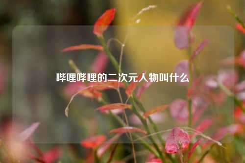 哔哩哔哩的二次元人物叫什么  第1张