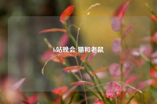 b站晚会 猫和老鼠  第1张
