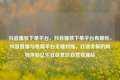 抖音播放下单平台，抖音播放下单平台有哪些	，抖音直播与电商平台无缝对接，打造全新的购物体验亿乐社区低价自营货源站  第1张