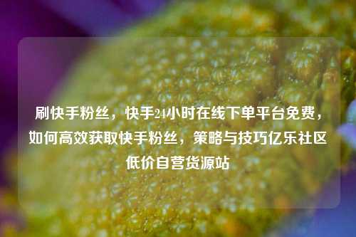 刷快手粉丝，快手24小时在线下单平台免费	，如何高效获取快手粉丝，策略与技巧亿乐社区低价自营货源站  第1张