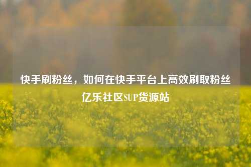 快手刷粉丝，如何在快手平台上高效刷取粉丝亿乐社区SUP货源站  第1张