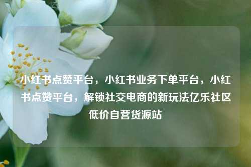 小红书点赞平台，小红书业务下单平台，小红书点赞平台	，解锁社交电商的新玩法亿乐社区低价自营货源站  第1张